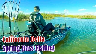 California Delta Spring Bass Fishing | First Garmin Livescope Plus Trip