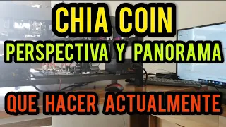 CHIA COIN - QUE HACER ACTUALMENTE - PERSPECTIVA Y PANORAMA ACTUAL