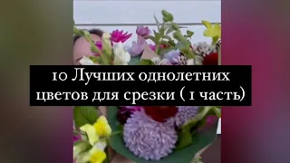 10 Лучших однолетних цветов для срезки ( 1 часть)