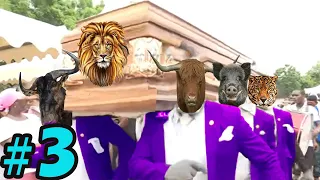 Funniest ANIMAL FIGHTS ⚰ Wild Animals Attack Meme Compilation 2021 | COFFIN DANCE MEME  #3