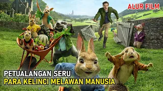 KELINCI MELAWAN MANUSIA, SIAPA YANG AKAN MENANG? | Alur Cerita Film