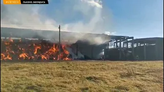 В Лиозно горит льнозавод