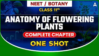ANATOMY OF FLOWERING PLANTS ONE SHOT | BOTANY COMPLETE CHAPTER FOR NEET | BOATNY BY TARUN SIR