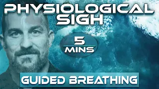 Quickest Breathing Pattern To Calm Down | Physiological Sigh | 5 Minutes