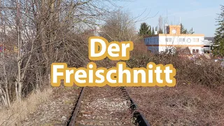 Freischnitt Markgröninger Bahn