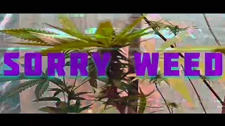 Sorry weed-BY.T.A.N.G & Lil NT