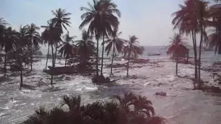 Tsunami at Phi Phi Island, 2004