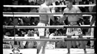 Ramon Dekkers vs Thai highlight 2014