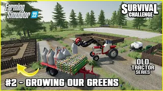 Building Garden - Old Tractor Series #2 - No Man's Land - Farming Simulator 22 Timelapse Series