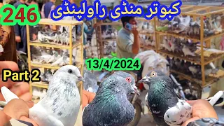 246 l Juma Bazar Kabootar Mandi Rawalpindi l Latest Update l High Flyer Pigeon Price l 13/4/2024