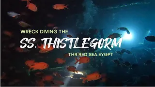 Diving the world famous SS.Thistlegorm wreck. Egypt 2024