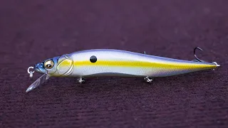 TOP 5 Baits To Catch Bass In SEPTEMBER!!