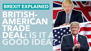 Chlorinated Chicken and "Selling" the NHS: Does the UK Want A Deal With America? - TLDR News