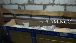 Фидер Кайда против Фламинго ( #KAIDA impulse vs #FLAMINGO kosmos) отзыв