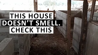 One Minute to Keep Your Pig Pen from Smelling (No IMO, No Odour)