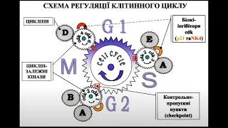 Пухлина як типовий патологічний процес, загальні механізми канцерогенезу