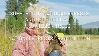 50 Million Trees for Our Forests: A Family's Perspective