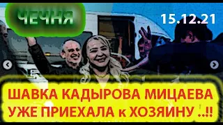 15.12.21. КАДЫРОВСКАЯ ПОДСТИЛКА РУБАТИ МИЦАЕВА ЯВИЛАСЬ в ЧЕЧНЮ ...!!!