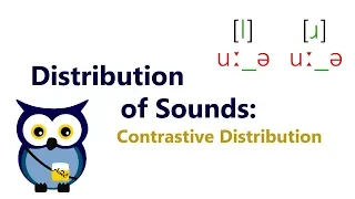 Distribution of Sounds: Contrastive Distribution