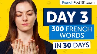 Day 3: 30/300 | Learn 300 French Words in 30 Days Challenge