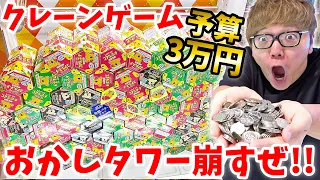 【崩壊】クレーンゲームでお菓子の山の雪崩を起こすぜ!!!【予算3万円】【ヒカキンTV】