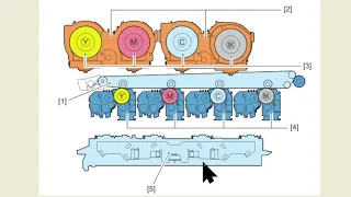 Принцип печати лазерного цветного принтера / МФУ. Основные типы конструкций.