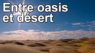 Entre oasis et désert