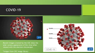 COVID-19 (SARS-CoV-2)