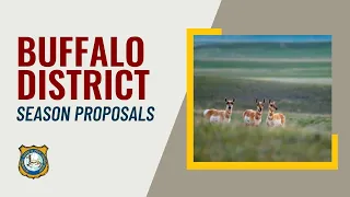 Buffalo - 2024 Proposed Hunting Seasons