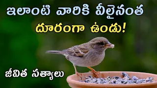 Healing Quotes Telugu Motivational Inspirational Words Stories|| Jivitha Satyalu|| Manchi Matalu