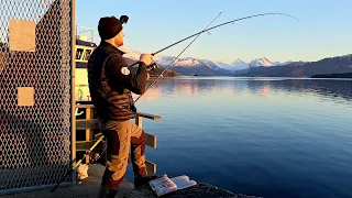 Рыбалка в Норвегии на Донку и спиннинг, рыбалка в Норвегии с берега. Рыбалка 2024.