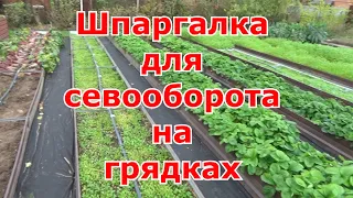 Севооборот на моих грядках. Шпаргалка и таблица для чередования посадки растений в огороде.