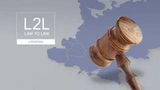 Региональная конференция L2L Litigation | Судебный процесс