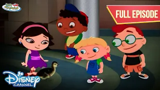 Little Einsteins | UNEXPECTED Adventure With A Baby Duck! | Duck Duck June | @disneyindia