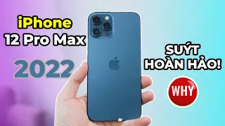 Đánh giá iPhone 12 Pro Max sau 2 năm: Suýt hoàn hảo vì gặp vấn đề này!