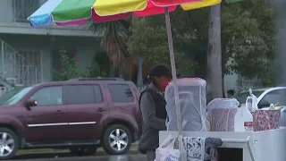 Los Angeles tourist spots may soon allow street vendors