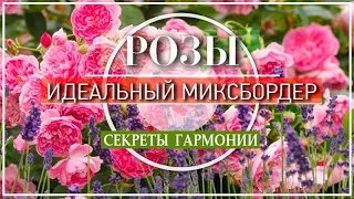 РОЗАРИЙ ИДЕАЛЬНЫЙ ПО ЦВЕТУ / СОЧЕТАЕМ ЦВЕТА ПО СХЕМАМ ЦВЕТОВОГО КРУГА