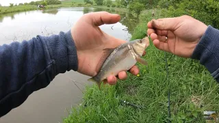 РЫБАЛКА на КАРАСЯ весной.БЕШЕНИЙ КЛЬОВ КАРАСЯ НА БОКОВОЙ.КЛЮНУВ КАРПИК В КІНЦІ.