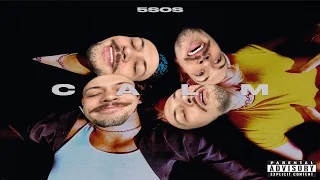 5 SECONDS OF SUMMER - CALM (FULL ALBUM REACTION)