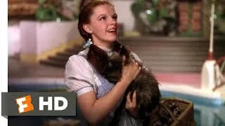 We're Not in Kansas Anymore - The Wizard of Oz (2/8) Movie CLIP (1939) HD