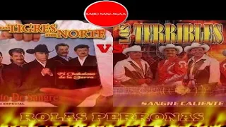 LOS TIGRES DEL NORTE VS  LOS TERRIBLES DEL NORTE MIX ROLAS PERRONAS