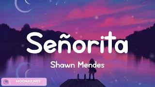 Señorita - Shawn Mendes Lyrics 1, Clean Bandit, Ali Gatie | The Vibe