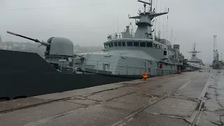 Irish Navy