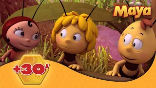 La Abeja Maya 🐝 🕒 +30' EPISODIOS COMPLETOS 🐝