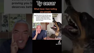 Rottweilers growling. When @cesarmillan duets my video