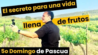 Una vida llena de frutos