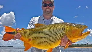 La Zona Golden Dorado Fishing ARGENTINA