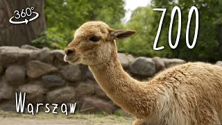 Зоопарк в Варшаве 360°. Zoo w Warszawie 360°