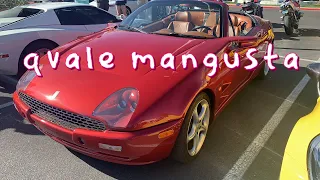 2001 Qvale Mangusta Ultra Rare Exotic Italian Car powered by Ford designed by De Tomaso LV car meet