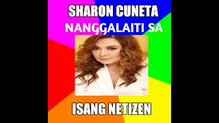 SHARON CUNETA NANGGALAITI SA ISANG NETIZEN